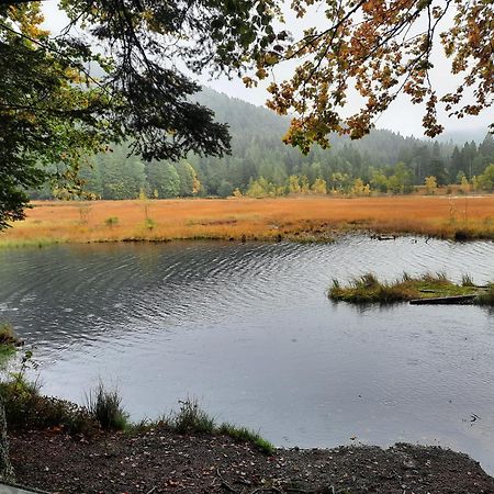 Au Coeur Des Lacs - Chambres D'Hotes Gérardmer Eksteriør billede