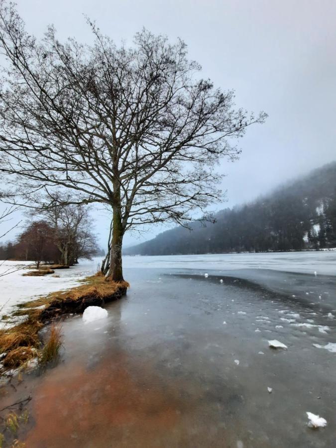 Au Coeur Des Lacs - Chambres D'Hotes Gérardmer Eksteriør billede